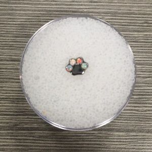 Titanium and White Opal Paw Print Threadless End
